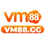 Profile photo of VM88