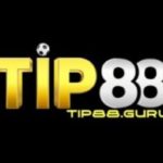 Profile photo of Tip88