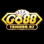 Profile photo of GO88