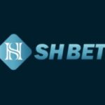 Profile photo of SHBET13D COM