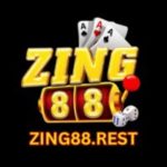 Profile photo of zing88rest