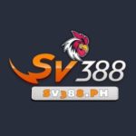 Profile photo of Sv388
