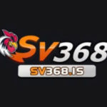 Profile photo of sv368_is