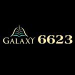 Profile photo of nhacai6623
