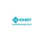 Profile photo of seoshbetvip