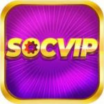 Profile photo of socvip