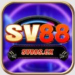 Profile photo of sv88scxvn