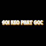 Profile photo of soikeophatgoc