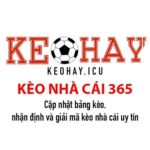Profile photo of keonhacai365
