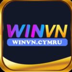 Profile photo of winvncymru