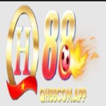 Profile photo of qh88