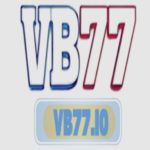 Profile photo of vb77io