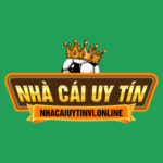 Profile photo of Nhà Cái Uy Tín - 🎯 Nơi Hội Tụ Thông Tin Cá Cược Chất Lượng Nhất