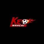Profile photo of keonhacai51com