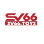 Profile photo of sv66toys