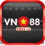 Profile photo of Vn88