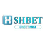 Profile photo of Shbet