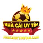 Profile photo of nhacaiuytinyolocom