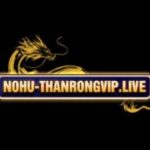 Profile photo of nohuthanrongvip