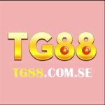 Profile photo of tg88