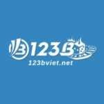 Profile photo of 123bvietnet