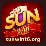 Profile photo of sunwint6org