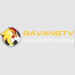 Profile photo of gavang tv