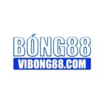Profile photo of vibong88com
