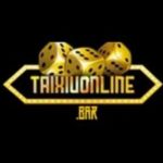 Profile photo of taixiubar