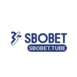 Profile photo of sbobettube