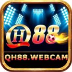 Profile photo of qh88