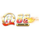 Profile photo of qh88hubcom