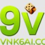 Profile photo of 69VN