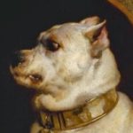 Profile photo of kfranco