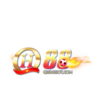 Profile photo of QH88