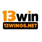 Profile photo of 13wingsnet