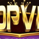 Profile photo of topvinvin