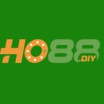 Profile photo of ho88diy