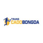 Profile photo of trangcadobovn