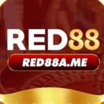 Profile photo of RED88