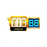 Profile photo of tin88