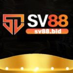 Profile photo of SV88