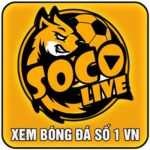 Profile photo of SOCO LIVE