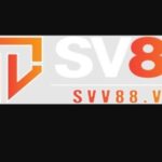 Profile photo of SV88
