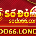 Profile photo of sodo66london