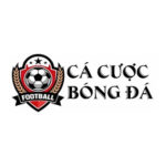 Profile photo of Trang cá cược bóng đá blogideashk