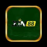 Profile photo of Xin88 – Nhà Cái Cá Cược Trực Tuyến Uy Tín 2025